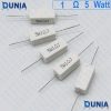 1 ohm 5 watt Five watt Resistor ±5% 1Ω 1 ohms Carbon Film Resistance