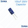 100uF 250V Capacitor Radial Electrolytic capacitor Polarized Aluminium body for Amplifier & Circuits