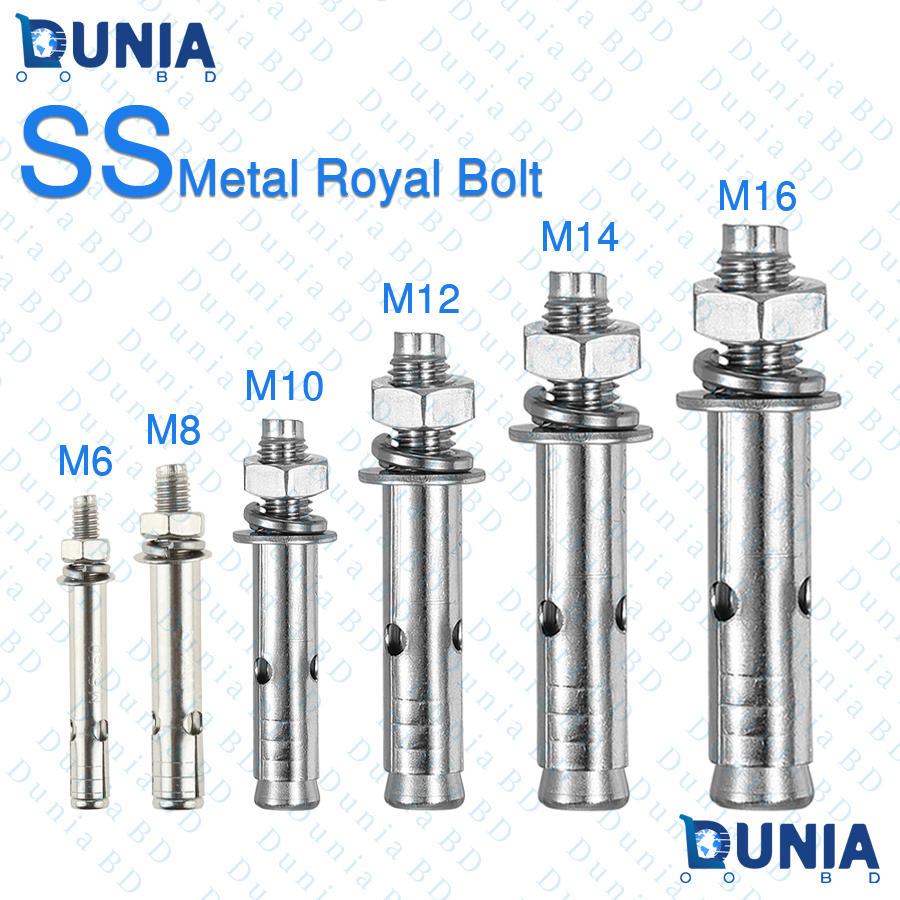 SS Royal Bolt Silver Expansion Bolts Good for Concrete Dry Brick Block Walls