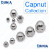Capnut SS M3 M4 M5 M6 M8 M10 M12 Stainless Steel Hexnut Collection Bright Finishing Dome Head Cap Nut