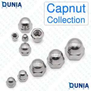 Capnut SS M3 M4 M5 M6 M8 M10 M12 Stainless Steel Hexnut Collection Bright Finishing Dome Head Cap Nut