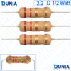 2.2 ohm 1/2 watt Half watt Resistor ±5% 2.2Ω 2.2 ohms 2R2 Carbon Film Resistance