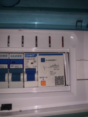 Chint RCBO NXBLE 32 40 63 125 Residual Current Operated Circuit Breaker 6A 10A 16A 20A 25A 32A 40A 50A 63A 80A 100A 125A photo review