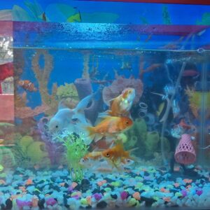 9 Watt RGB Multi Color DOB Driver on Board 7 in 1 Automatic or Manual Color Changing LED Bulb photo review